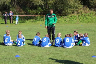 开云·体育官网-中国篮球教练员战术创新能力培养研究，篮球教练员职业素养的三大核心