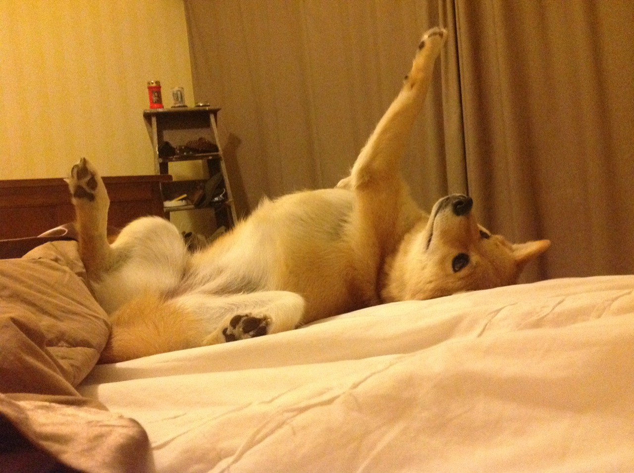 开云官方网页登录-中国篮球教练员战术执行力提升及训练方法创新研究，篮球教练怎么布置战术