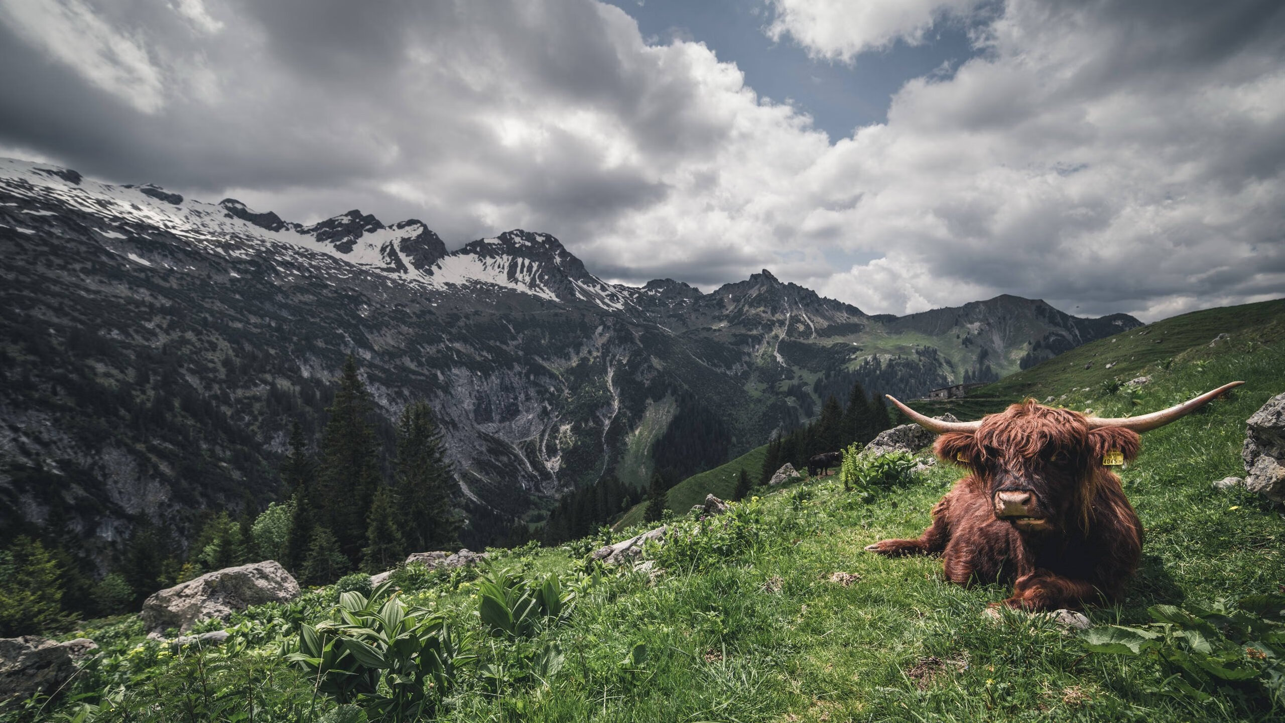 中国篮球教练员战术执行力提升及训练方法，篮球教练员基本功