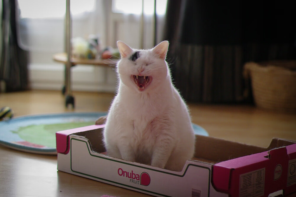 中国足球年度战术风格盘点，中国足球战略