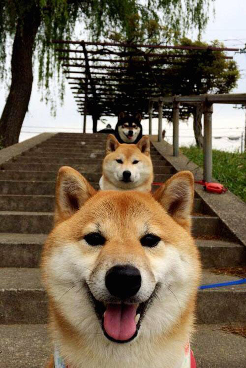 足球大事回顾：过去十年世俱杯经典瞬间，历年世俱杯