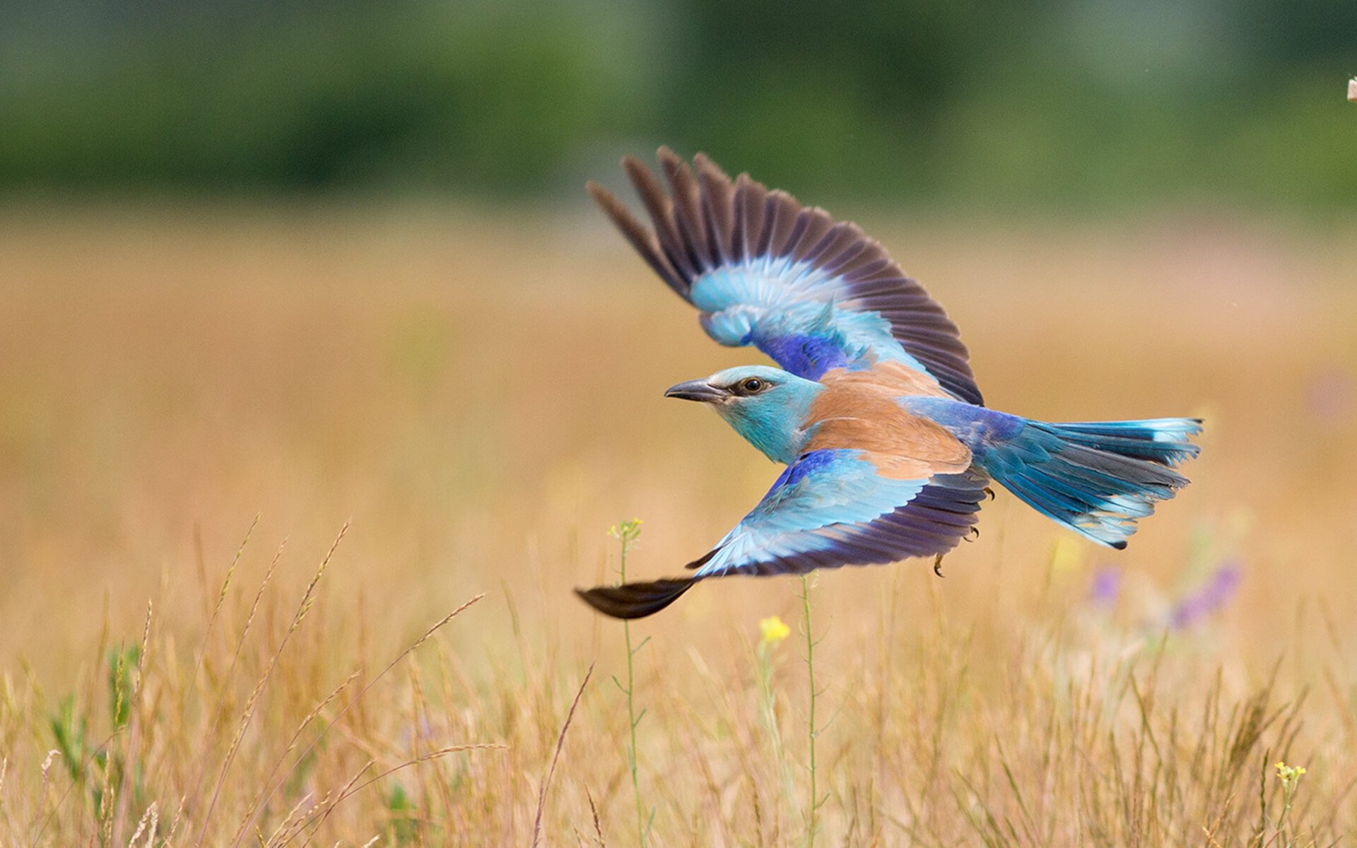 kaiyun网站-青少年体育赛事推广策略，青少年体育竞赛各项管理规定