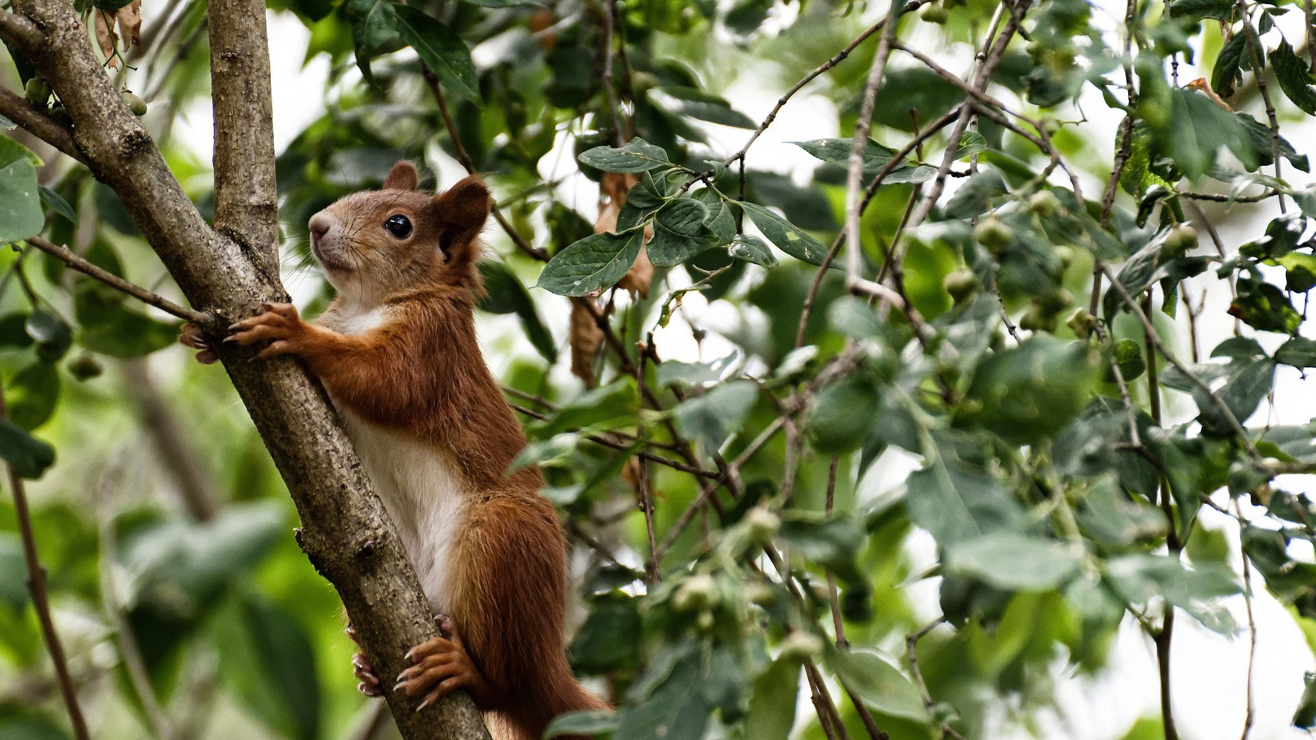 青少年体育赛事推广策略,青少年体育竞赛各项管理规定