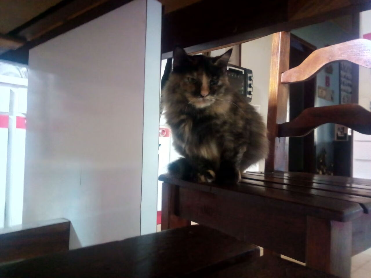 俱乐部公共关系能力建设不足,公共关系部门组建方案