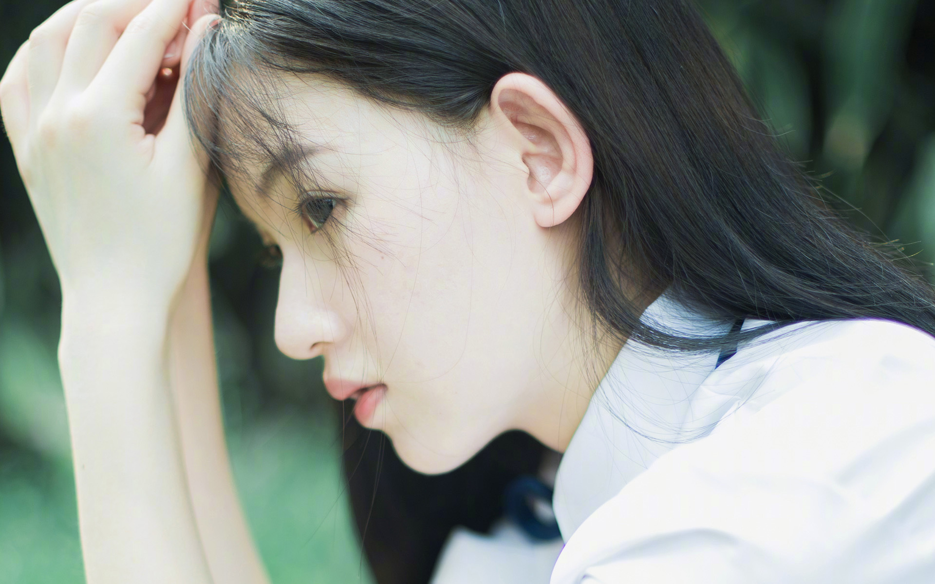 山西龙狮主场氛围火爆成为球队坚强后盾，龙狮运动协会简介