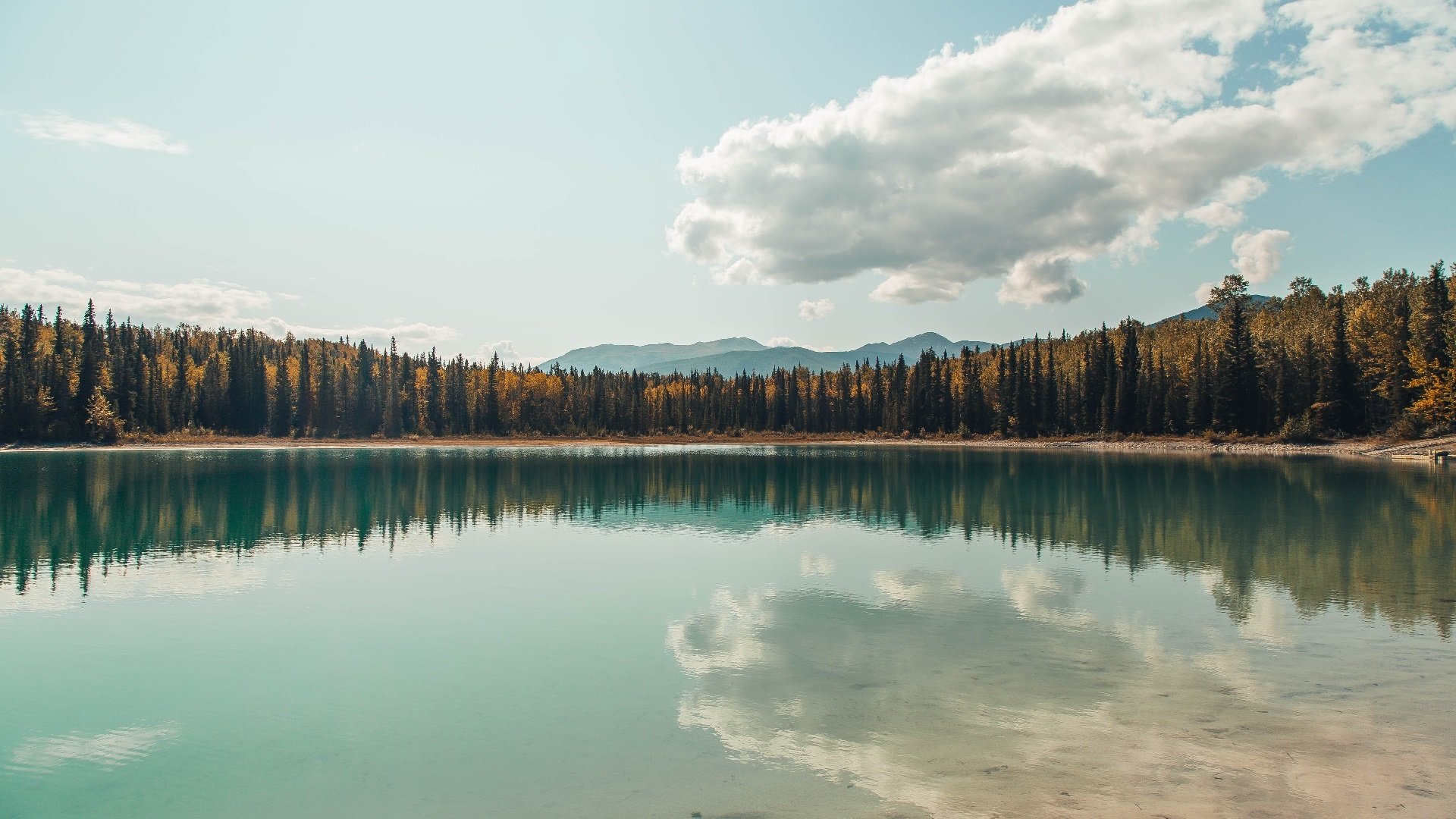 “诺克·达维德·彼得森的赛场表现引起橄榄球圈广泛关注”