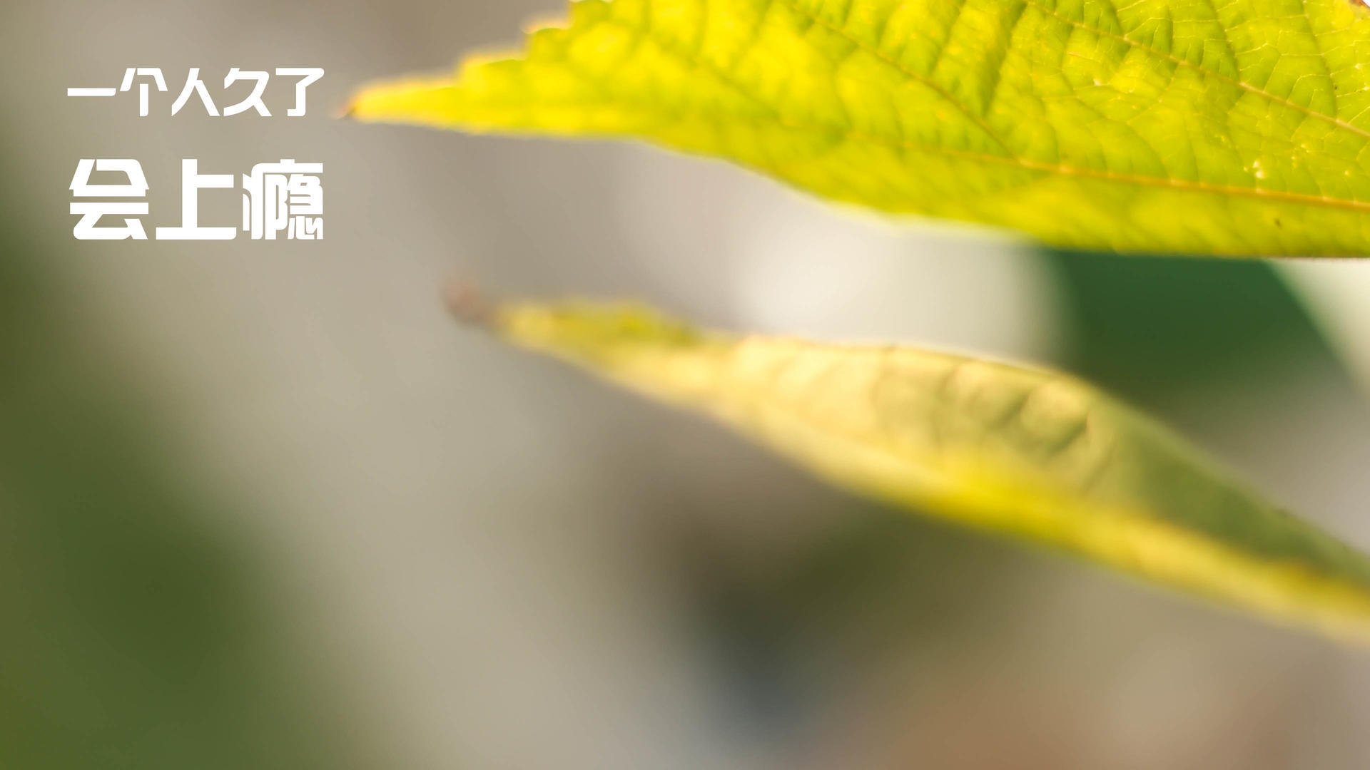 尤文图斯坚定战术方案,目标锁定意甲冠军