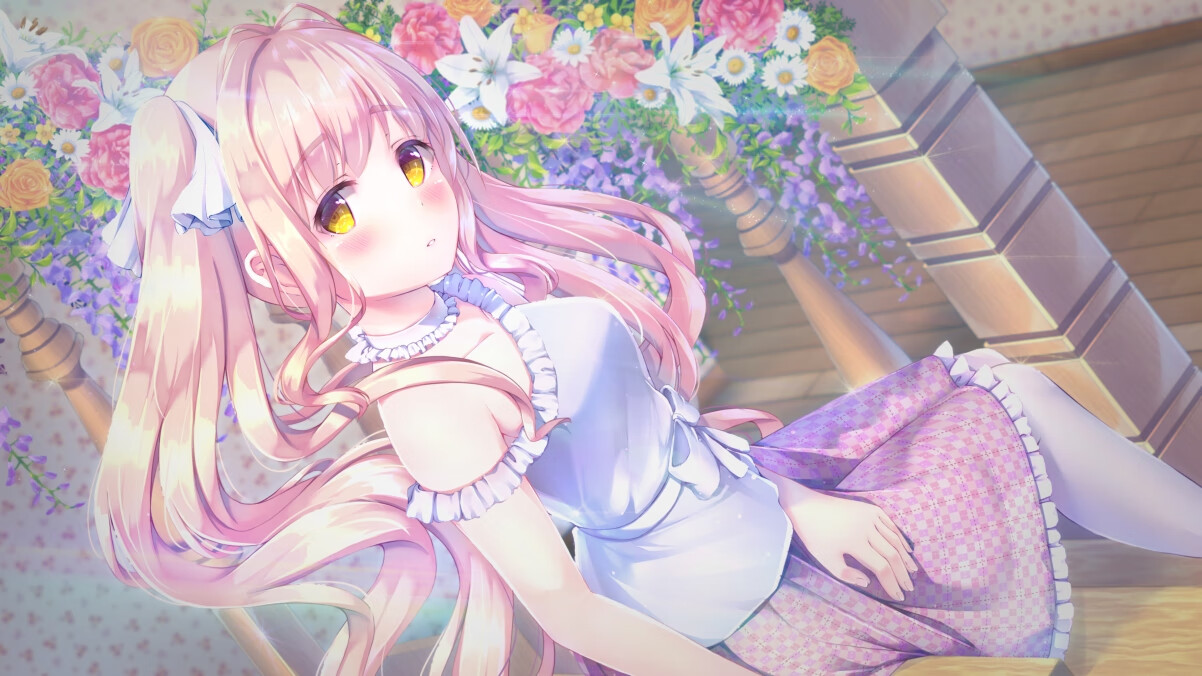 男队、女队并行,英格兰橄榄球全面发力,英格兰橄榄球联赛