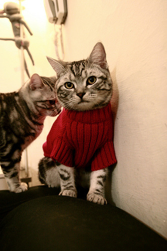 线上足球社区平台用户活跃度持续攀升,线上足球首页