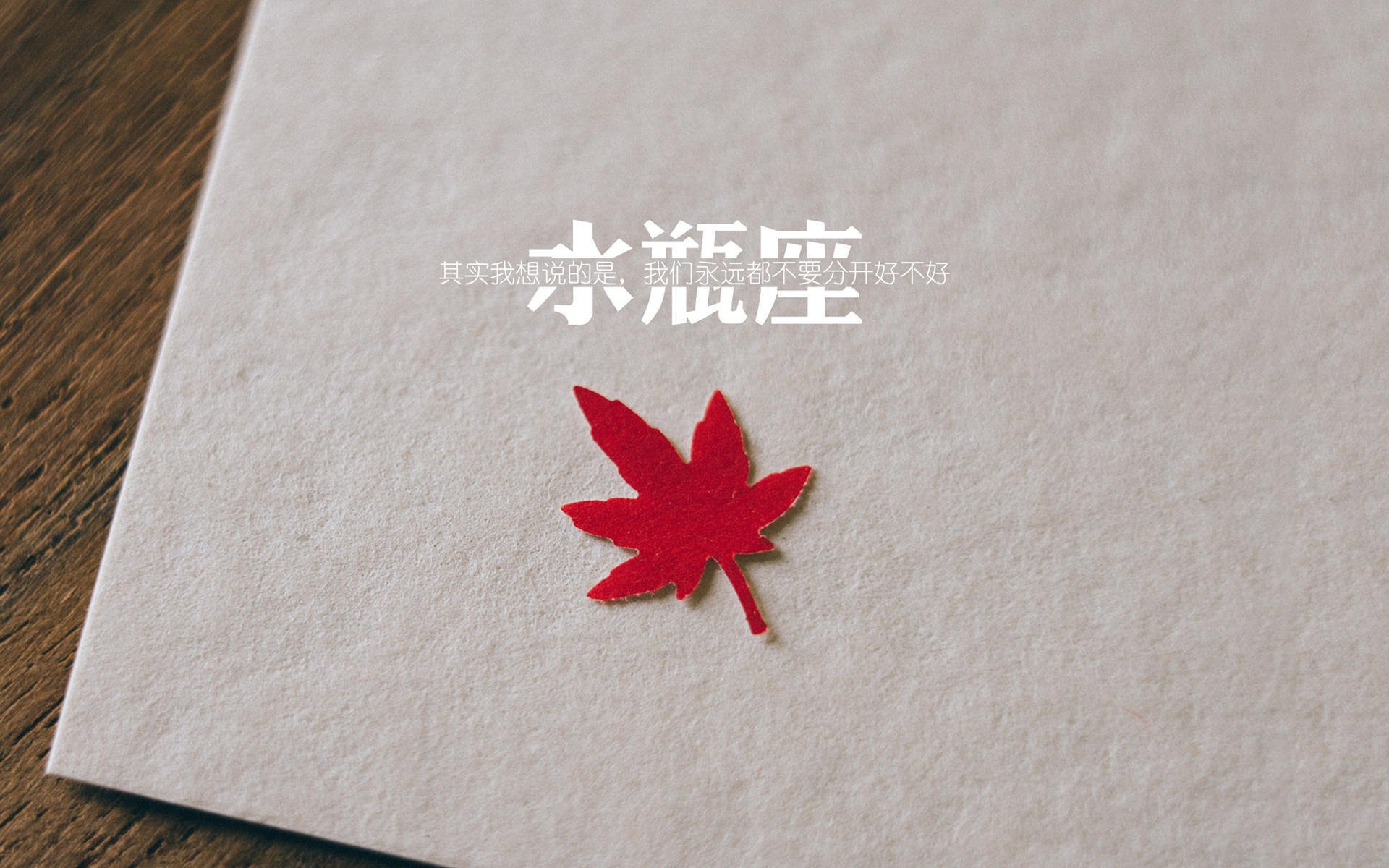 美洲杯火力全开:明星球员精彩表演耀眼全场,美洲 杯