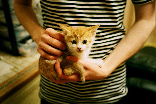 西甲攻防战:精彩瞬间不断刷新纪录!,西甲榜首大战