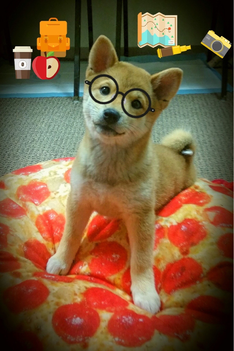 开云网页版-中国足球青少年足球推广活动进入幼儿园体系，《关于开展2021年全国足球特色幼儿园创建工作的通知》